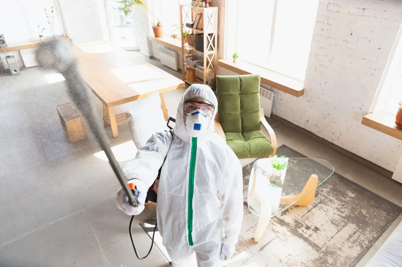 mold in Palm Bay